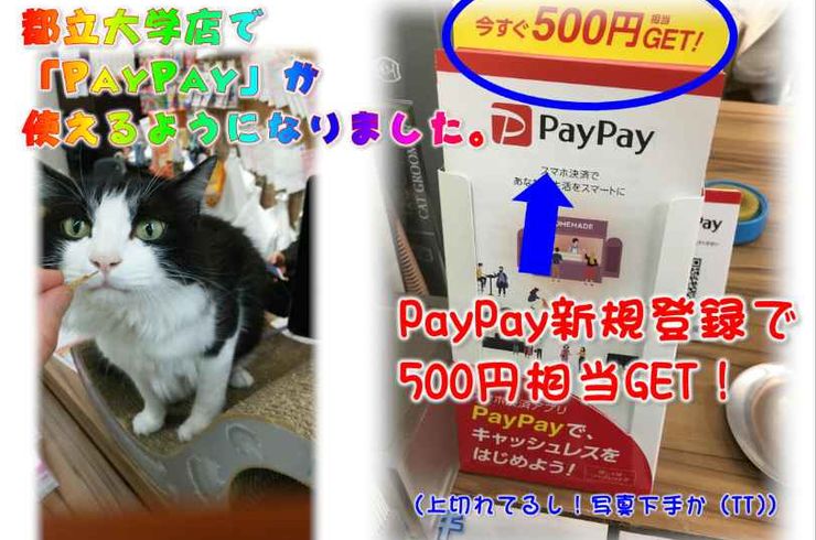 20190112PayPay使えるよｓ