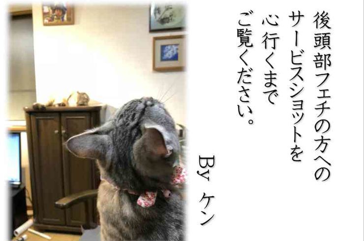 20190113後頭部ｓ