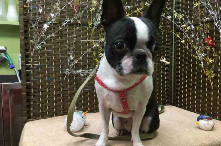 20190112ロッティーs