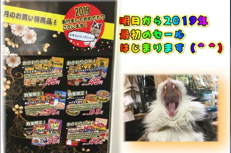 20190116別チラシｓ