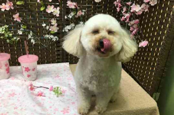 20190430アジーs