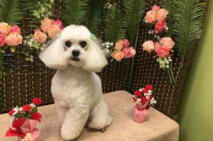 20190511クータs