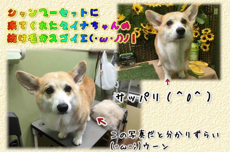 20190812ｓ