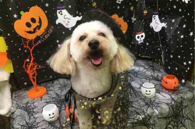 20191016アジーｓ