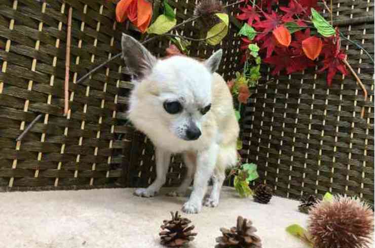 20191109ファレルs