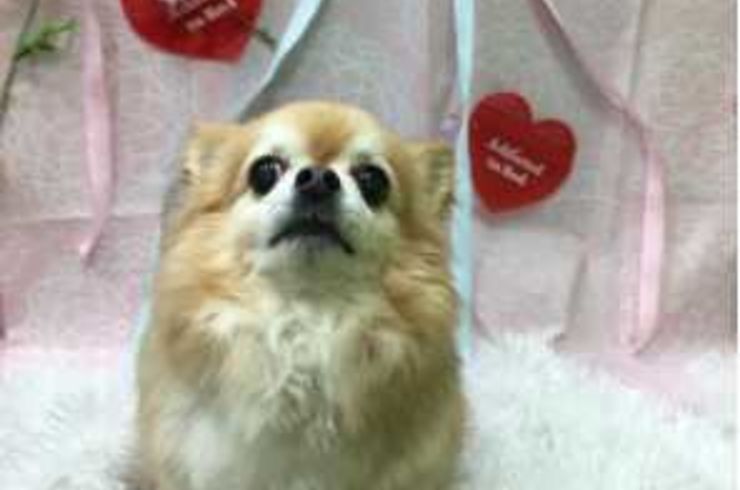 20200224くーすけs