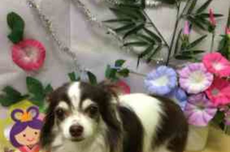 20200703トモロウs