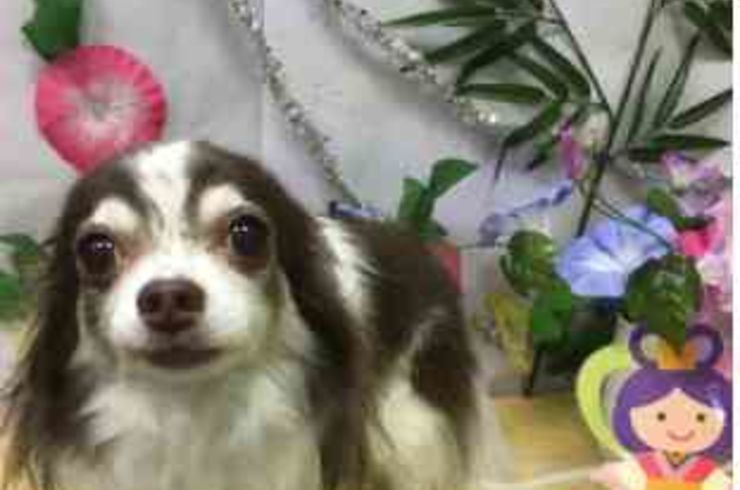 20200731トモロウs