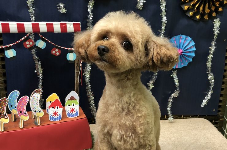 20200917フィオリーナs