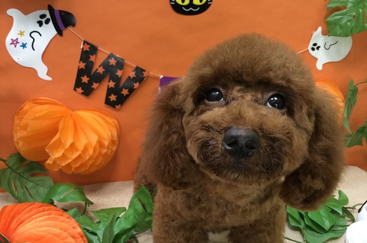 20201017ウェイビーs