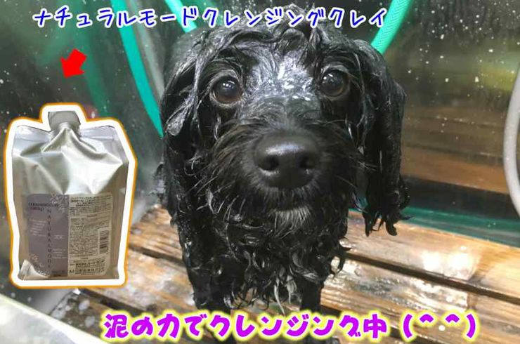 20181024クレンジングs