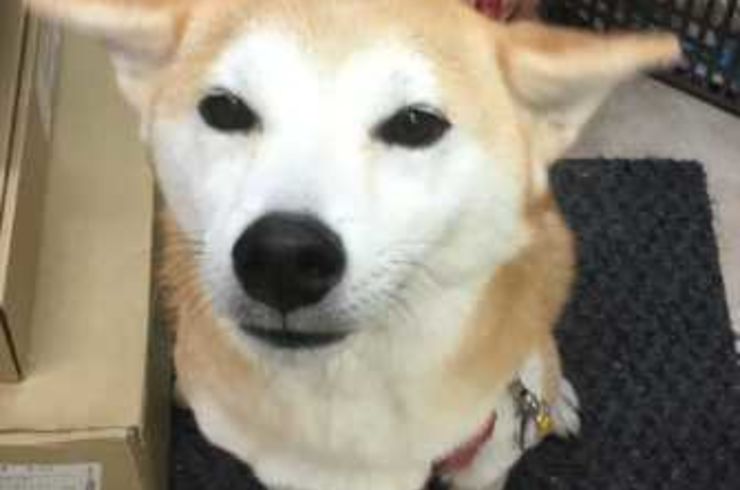 20181111まるｓ