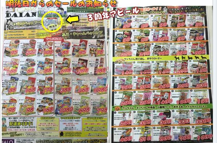 20181113本チラシｓ