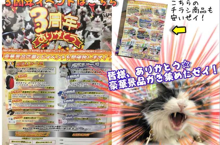 20181114別チラシｓ