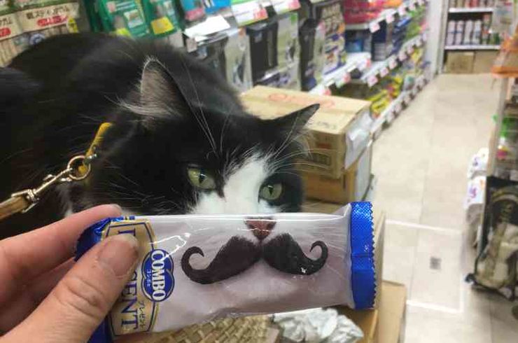 20181209コンボひげｓ